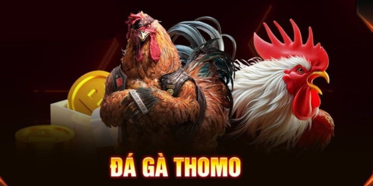 Các Hình Thức Đá Gà Tại AO88